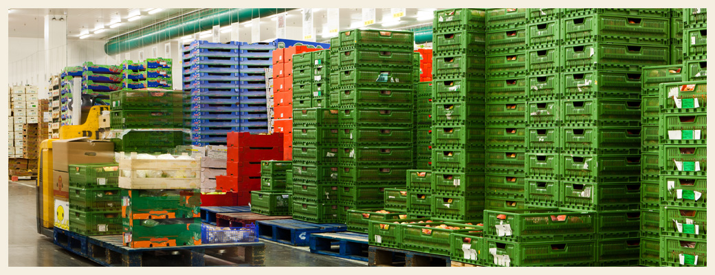 Palettes reconditionnes Dax